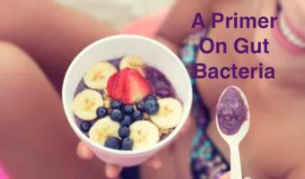 A Primer On Gut Bacteria