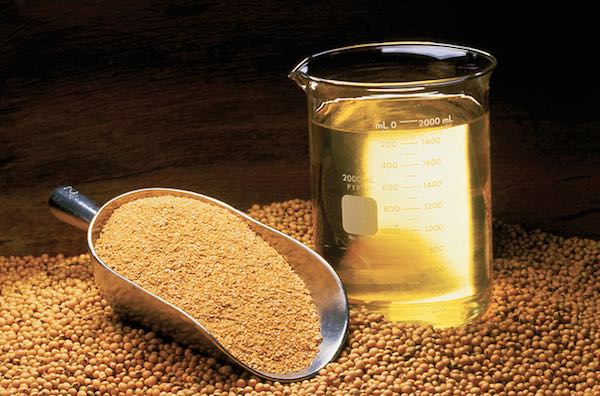 Soybean products