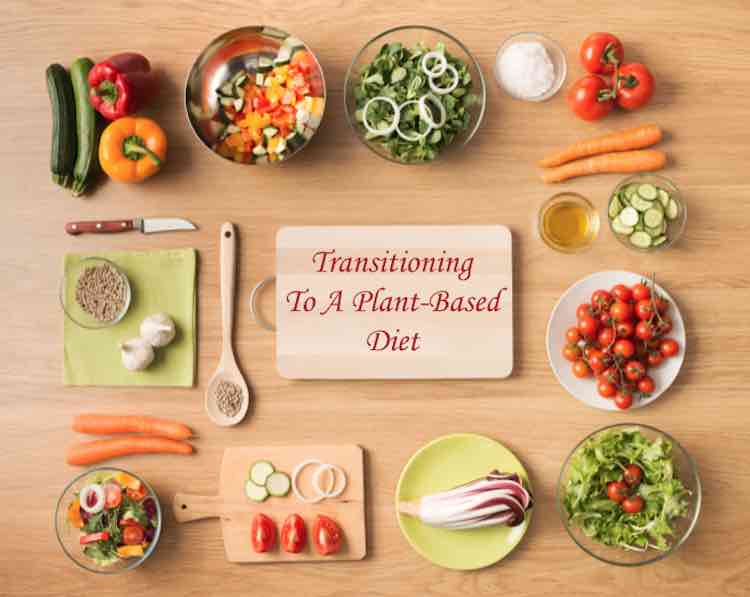 switching to plant based diet